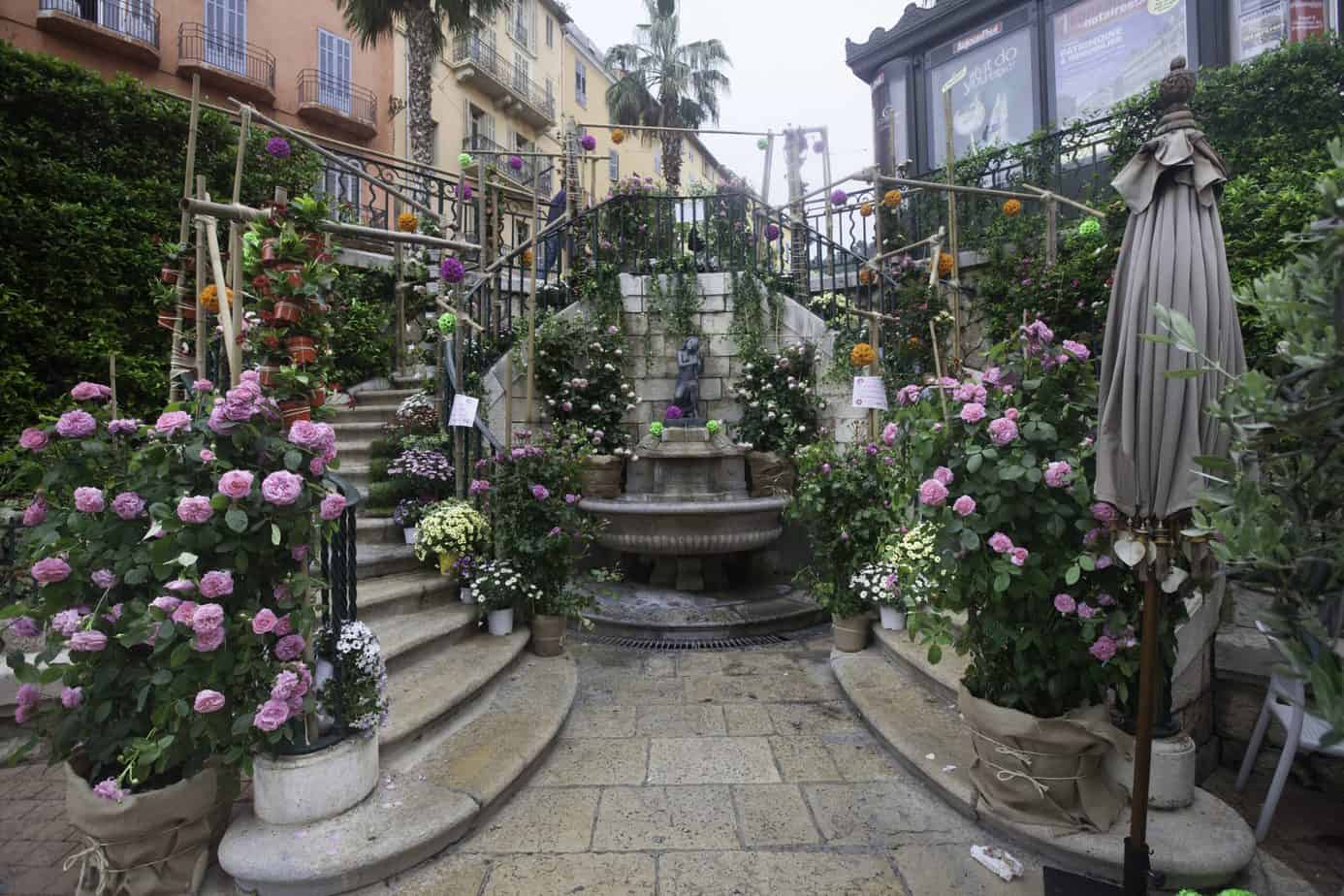 Take a virtual tour of the Chanel flower fields in Grasse, France